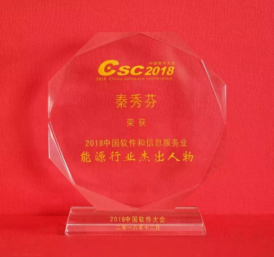 遠(yuǎn)光軟件秦秀芬獲評“2018軟件信息·能源行業(yè)