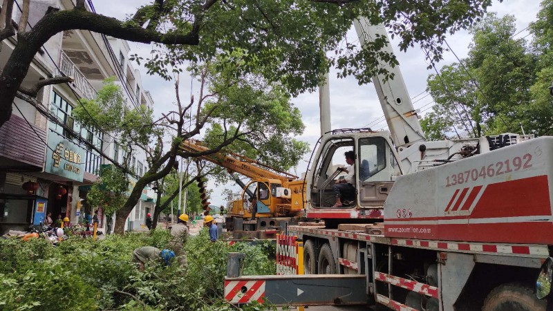 國網南豐縣供電公司：線路整治，備戰迎峰度夏