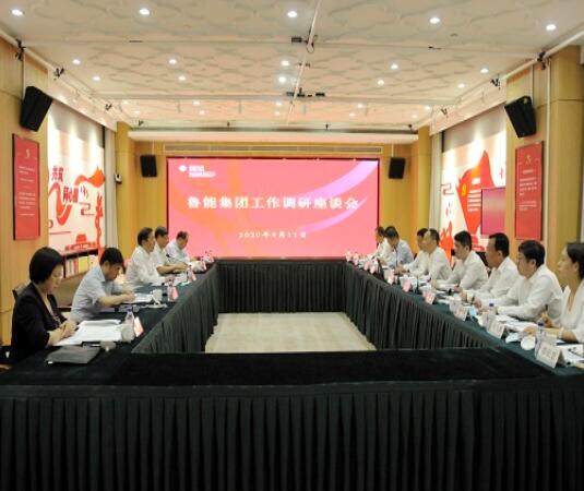 辛保安總經(jīng)理赴魯能集團調研