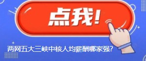 國網南網華能大唐國家能源三峽中核人均薪酬哪家強？