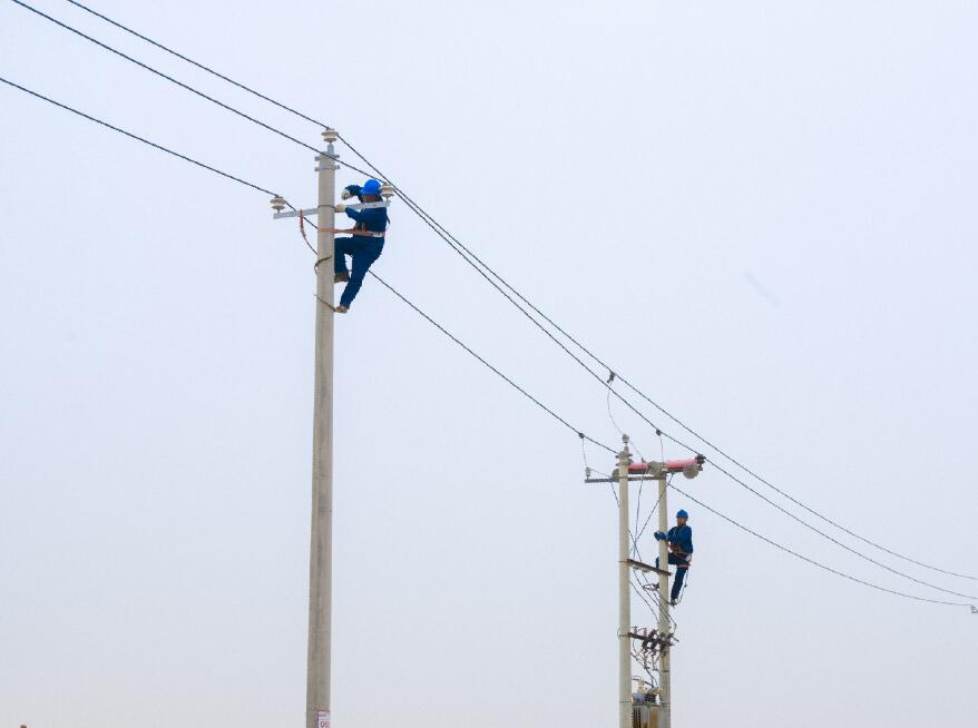 阿拉善供電公司：電網健康“體檢”，從登桿開始