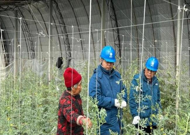 山東惠民供電公司：走訪種植大棚，優化農業營商環境