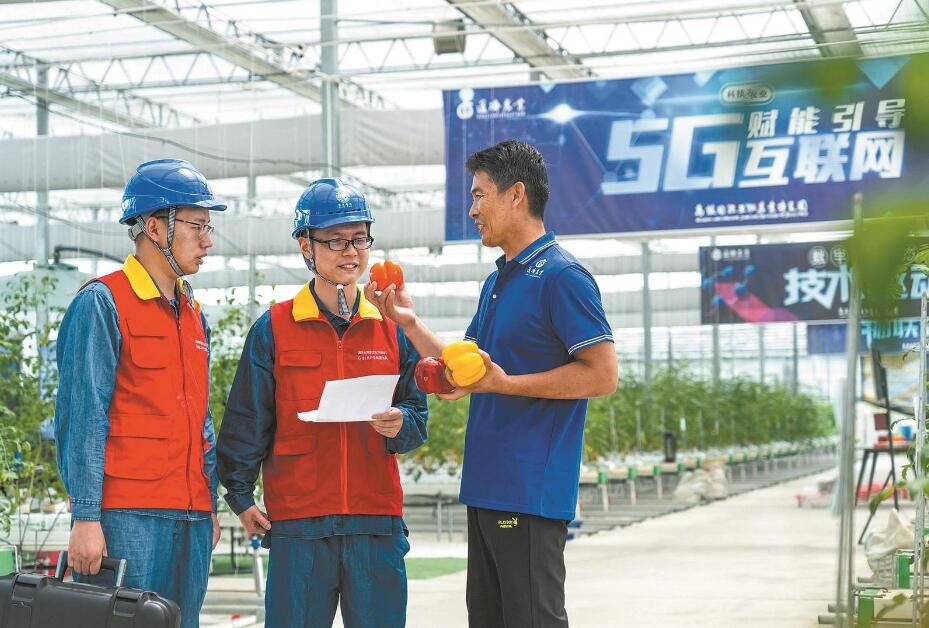 浙江桐鄉市供電公司黨委深入實施“旗幟領航”黨建工程服務地方經濟社會發展
