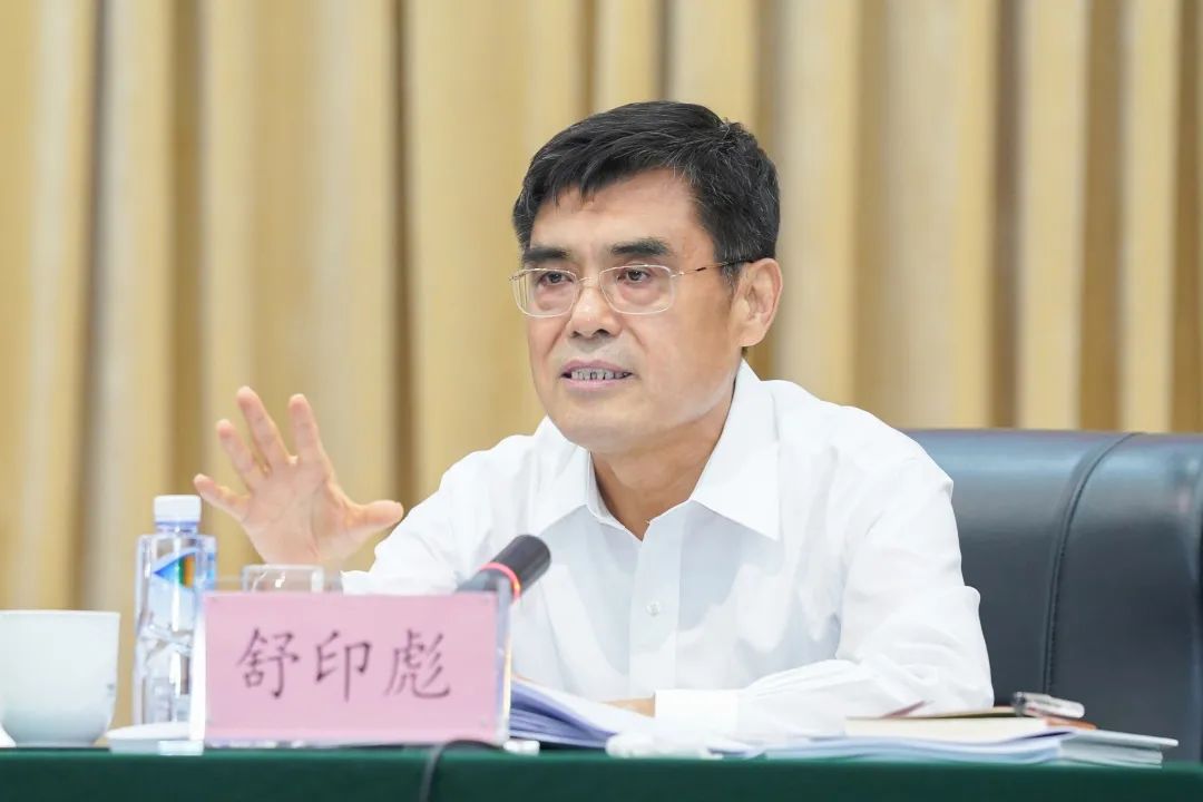 舒印彪：發展新型電力系統，助力“雙碳”目標