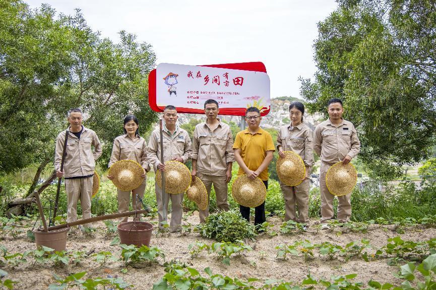 國網惠安縣供電公司“我在鄉間有畝田”喜迎豐收