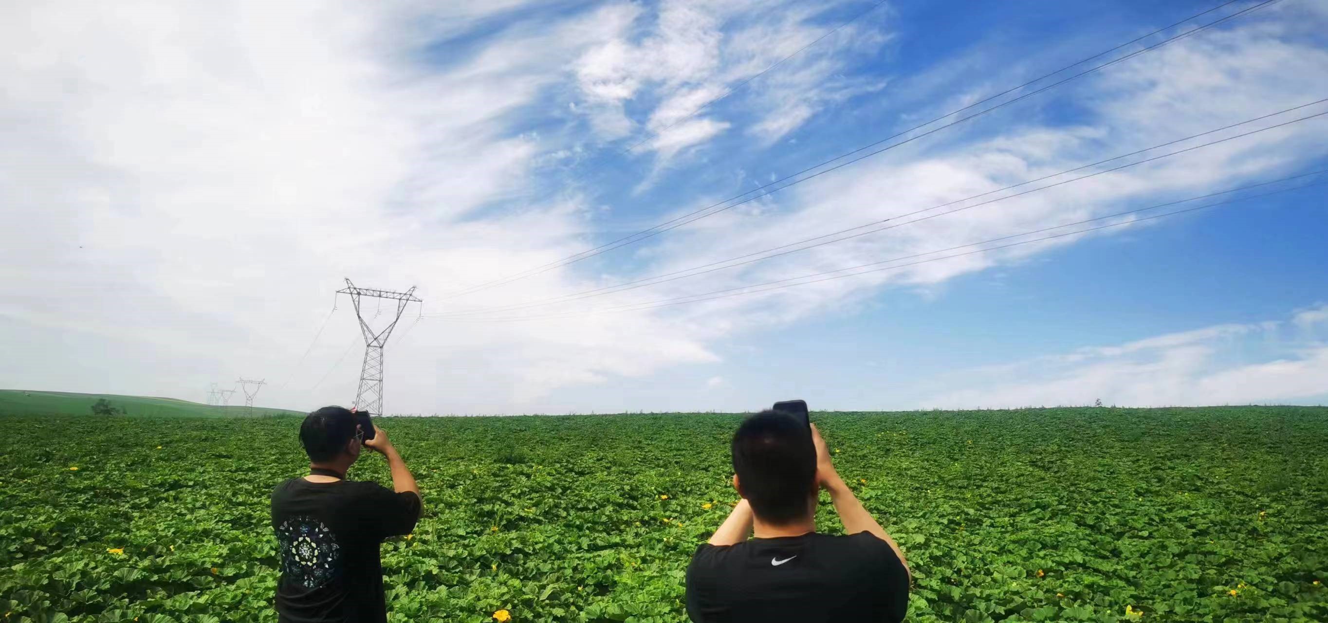 四子王輸變電管理處：防外力破壞，助安全運行