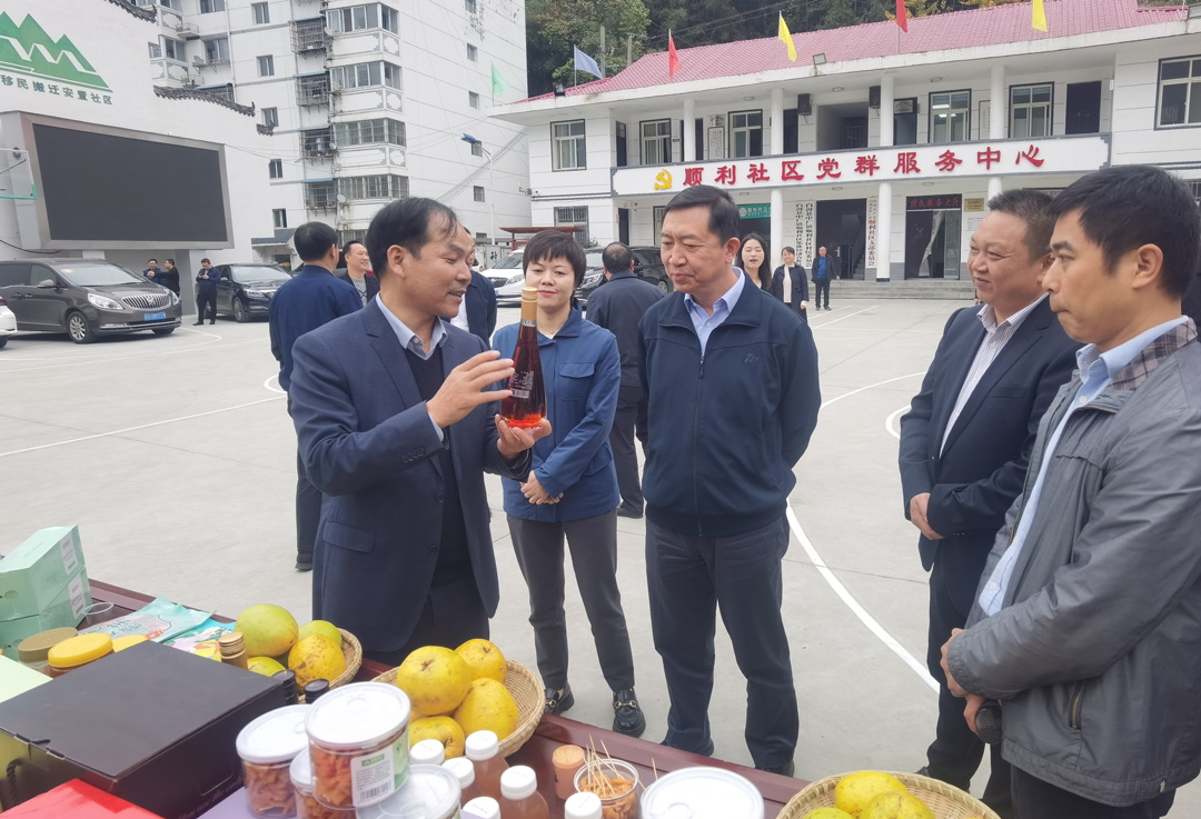 中核集團總經理、黨組副書記顧軍赴陜西白河、旬陽調研鄉村振興工作