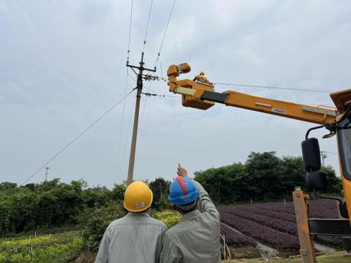 農網線路改造完工，居民夏日用電不愁