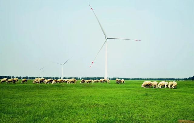 139臺“重慶造”風電機組內蒙古并網發電