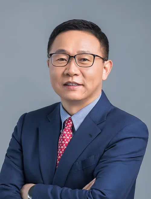 華為汪濤：用數智化技術，解決新型電力系統世界級難題
