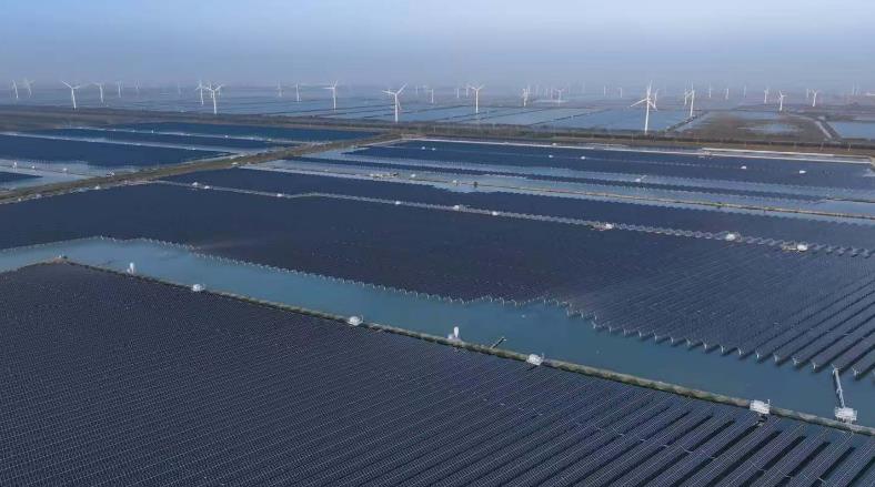 悅達華旭華豐農場東202兆瓦漁光互補發電項目并網