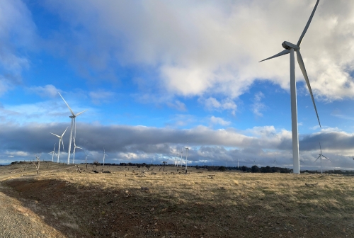 澳大利亞牧牛山風電項目提前完成年度發電目標