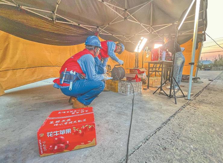 國網臨猗縣供電公司全產業鏈用電可靠，水果大縣果飄香