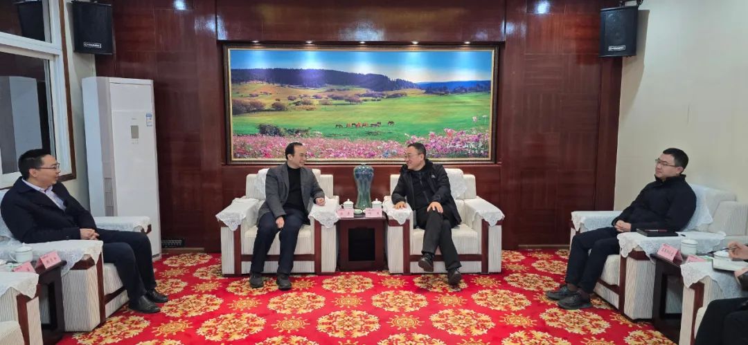 大唐重慶公司黨委書記梁勇會見武隆區委書記何慶