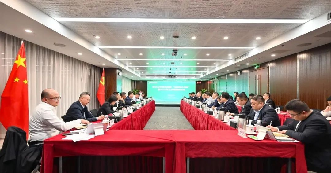 國家電投湖北公司召開落實集團“均衡增長戰略”暨2025年工作思路研討會