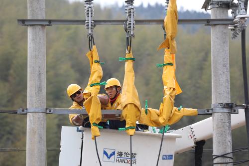 國網壽寧縣供電公司帶電更換避雷器 保障電網安全運行