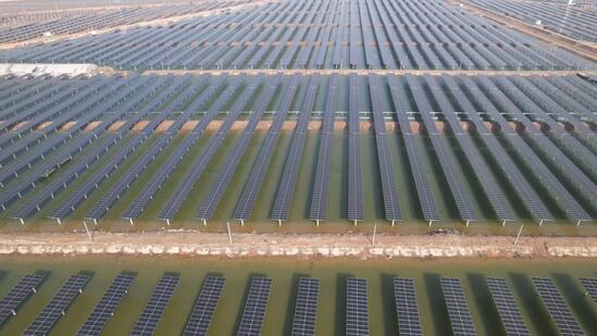 東營輝陽200兆瓦漁光互補項目并網發電
