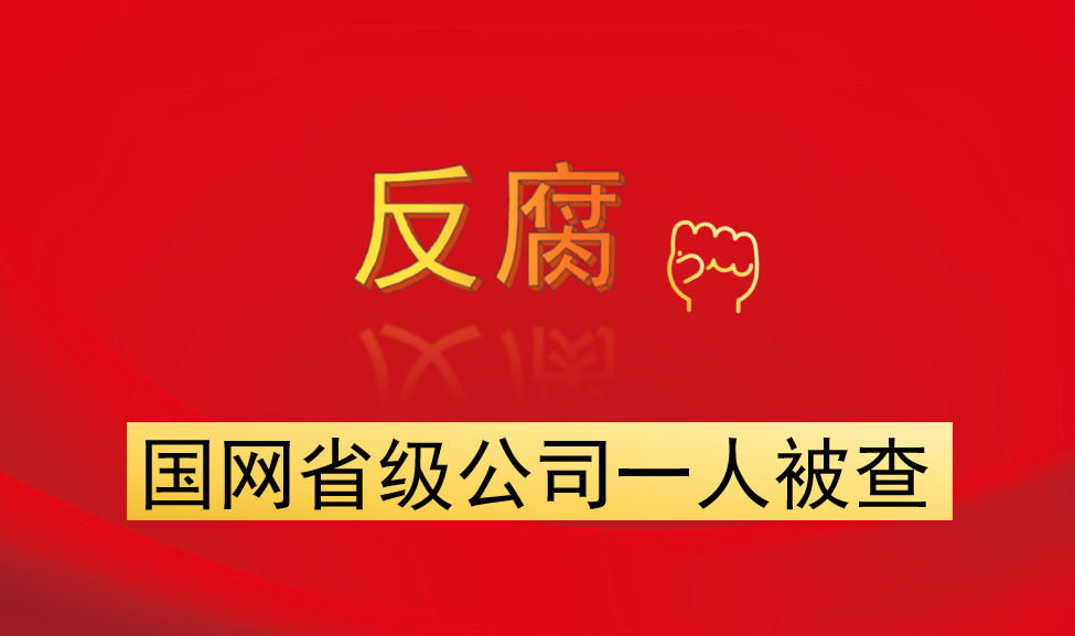 國網省級公司一人被查